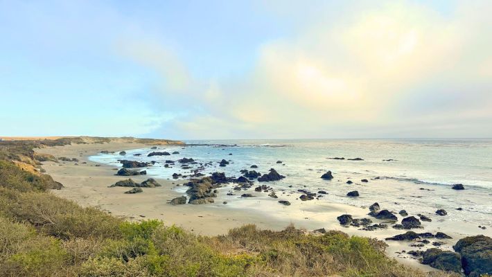 Applicazioni utili Stati Uniti