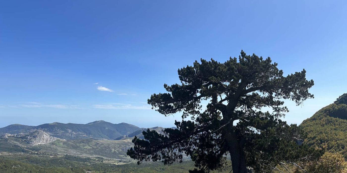 Basilicata Slow