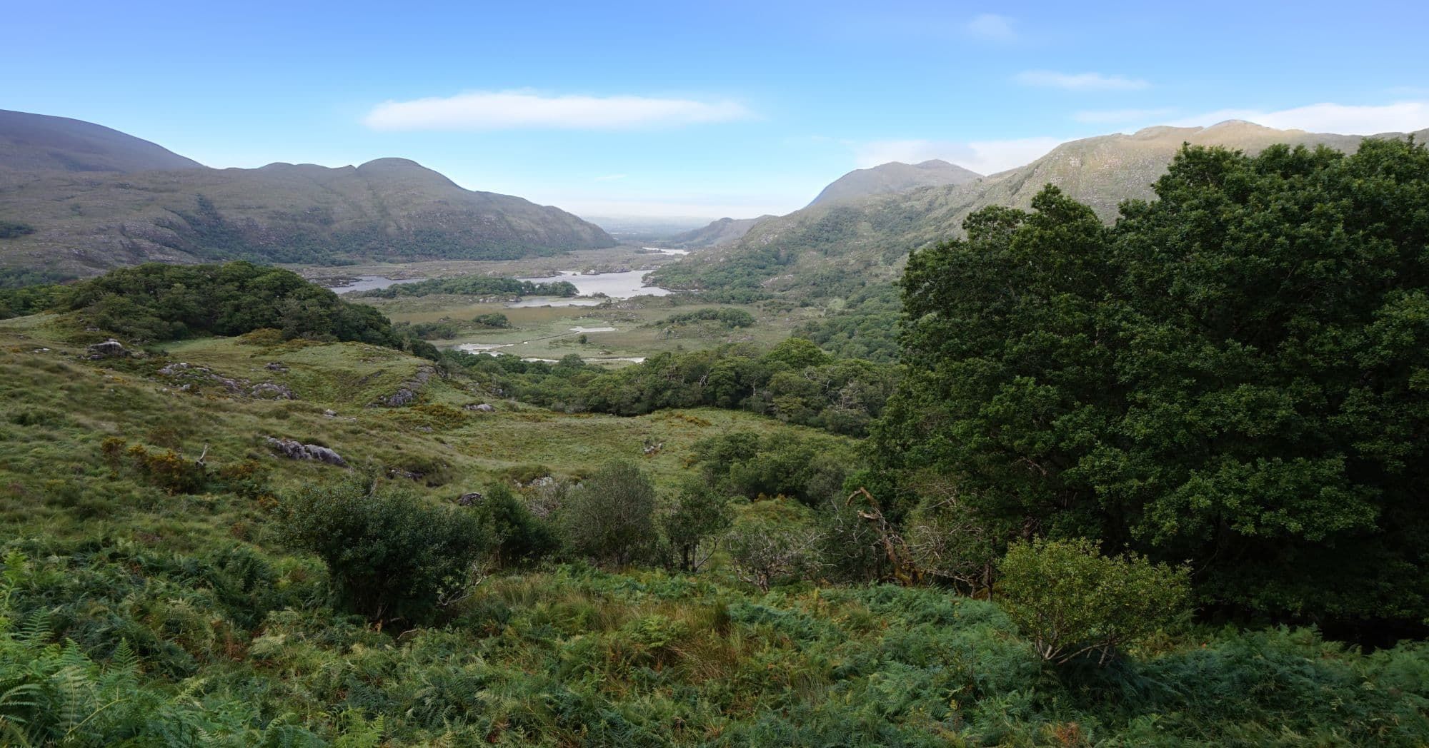 Irlanda del sud