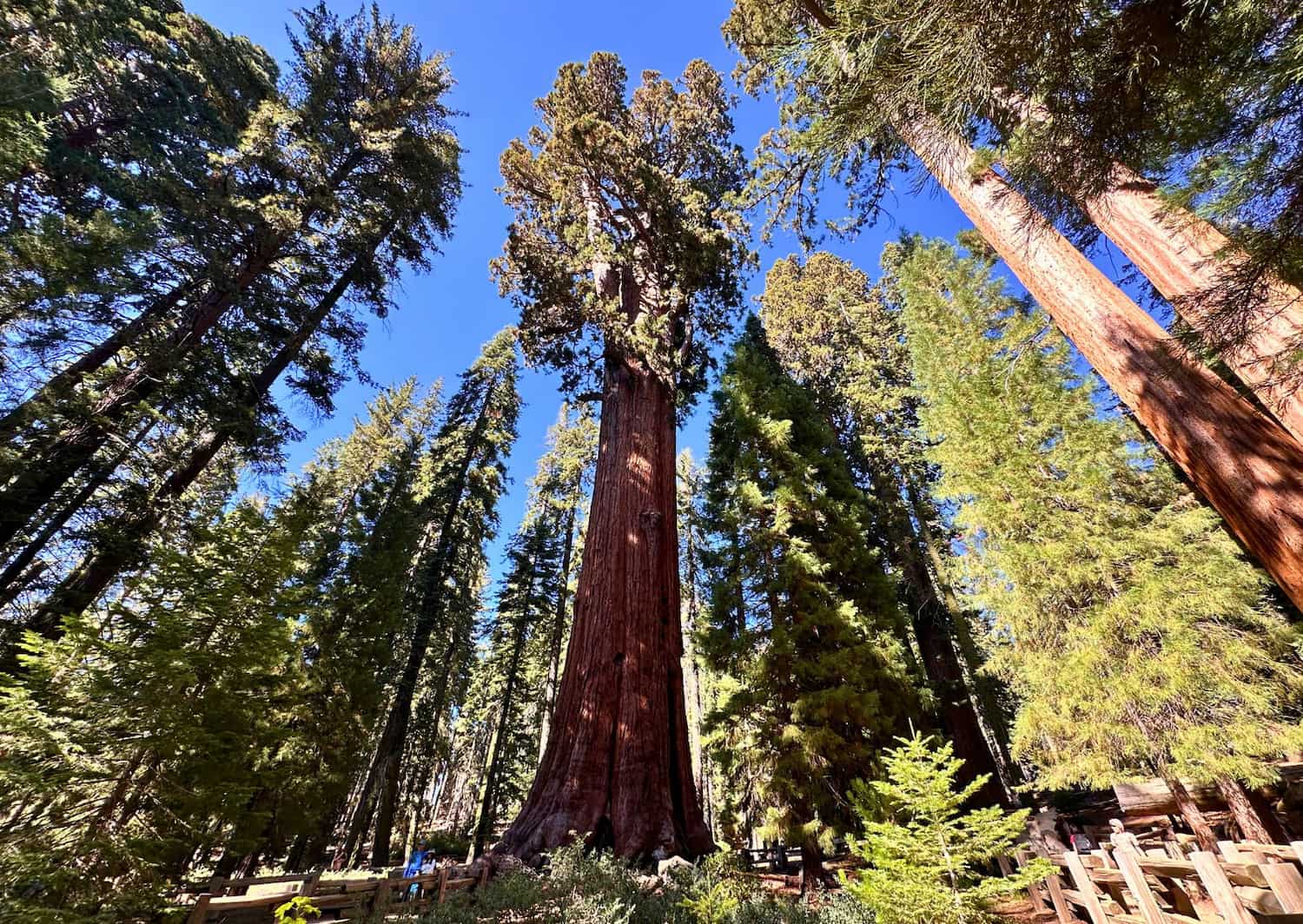 USA: il mio itinerario